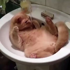 This is nice! I love this!