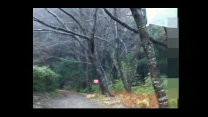 心霊動画「最恐心霊映像・心霊現象・PART9」呪い最新HDD スーパー