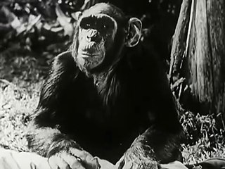 New Adventures of Tarzan (1935) - full movie