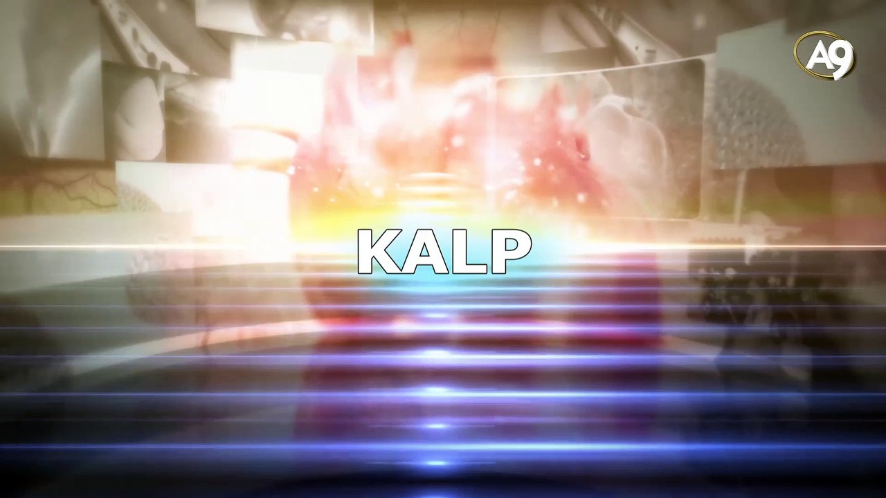 Kalp