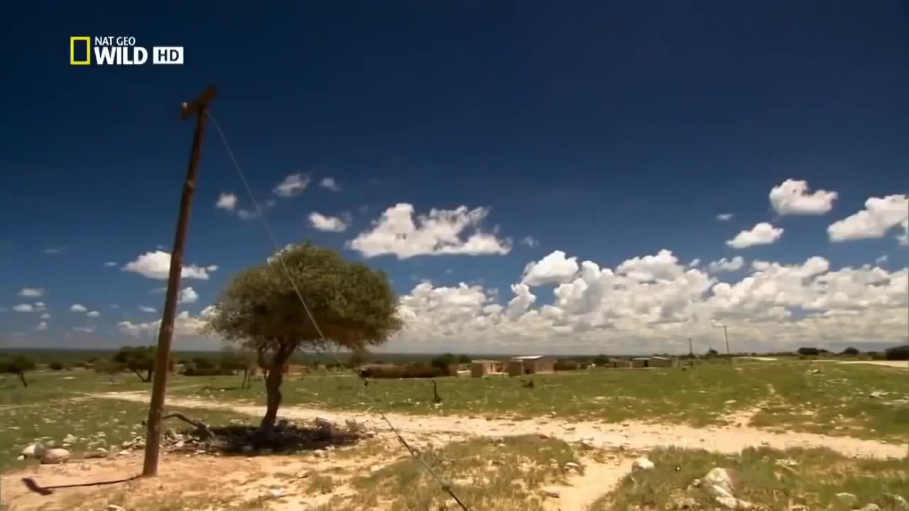 Ultimate Predator Jaws of Death National Geographic HD 2015