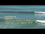 Sunny Day Surfers on Medium Swells