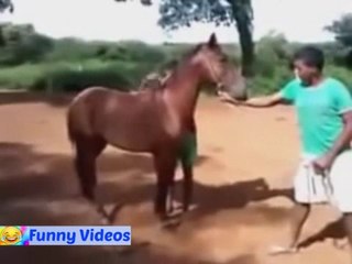 Funny very funny video horse riding