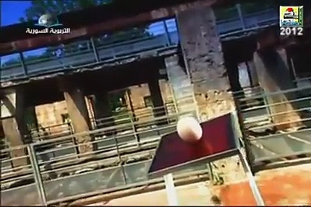 poultry farm ka choosa kaisy tiyar hota hy mukamal video