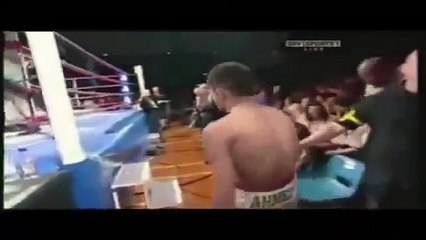 Cocky boxe knocked out