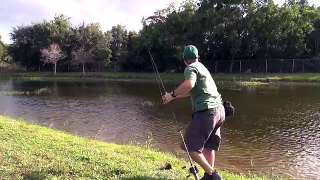CRAZY - FISH ATTACK ON LURE RAPTOR BIRD ATTACK ON FISH ! 1080p HD