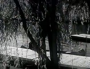 Convicts Code (1939) Film Noir