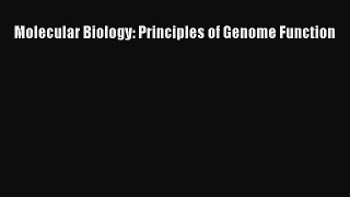 Molecular Biology: Principles of Genome Function  Free Books