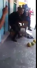 Fruit Ninja - the funniest videos on the web