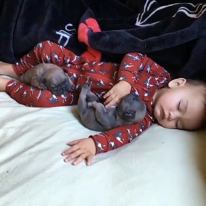 Rolling in bed with puppies