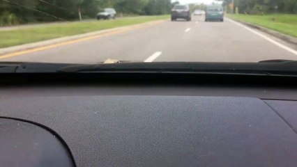 Lady Accidentally Picks Up Unwanted Hitchhiker