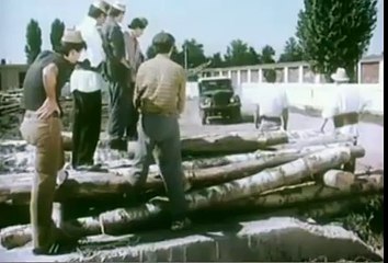 O vară cu Mara (1988)