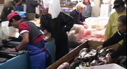 Japonia, Podróże, HD, filmy-lektor.pl, cały film, filmy z lektorem,hd