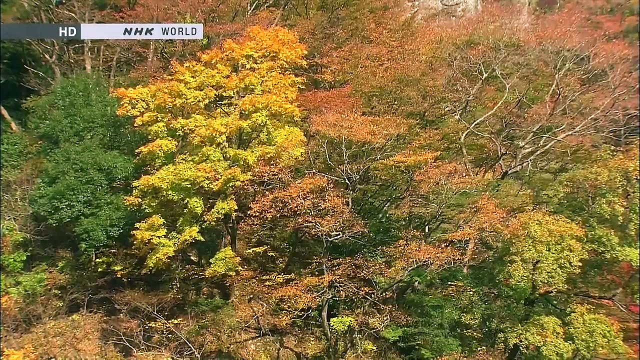 Okukuji , Satoyama , Japan (Full HD)