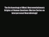 The Archaeology of Mind: Neuroevolutionary Origins of Human Emotions (Norton Series on Interpersonal