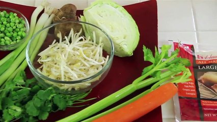 Vegetable Spring Rolls Recipe