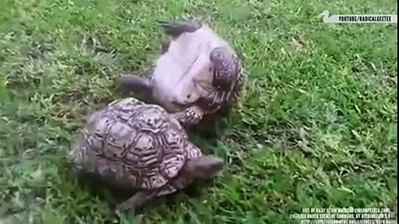 Friendship everywhere