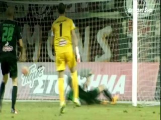 17η ΑΕΛ-Αχαρναϊκός 2-0  2015-16 Τα γκολ