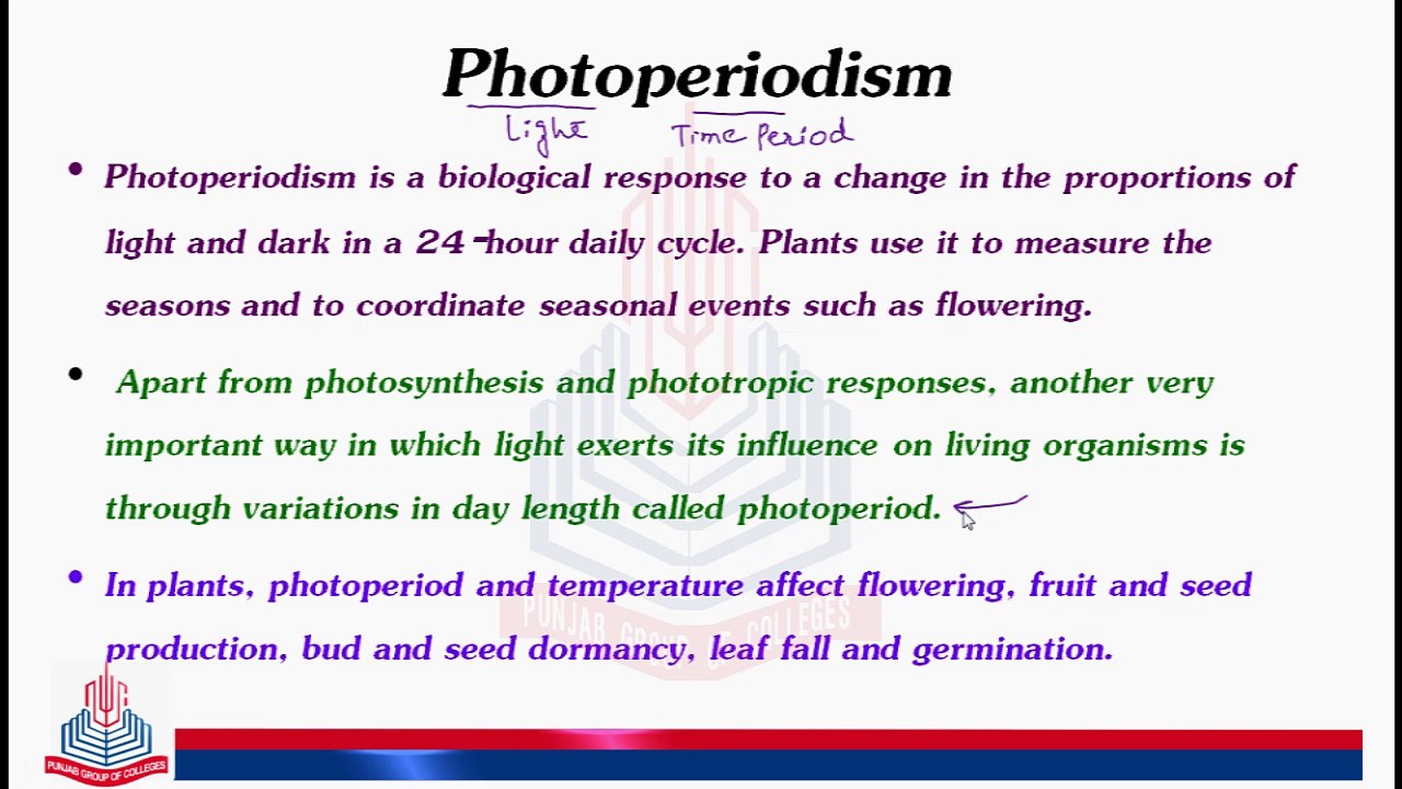 Photoperiodism & its effects