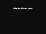 [PDF Download] Why the Whales Came [Download] Full Ebook