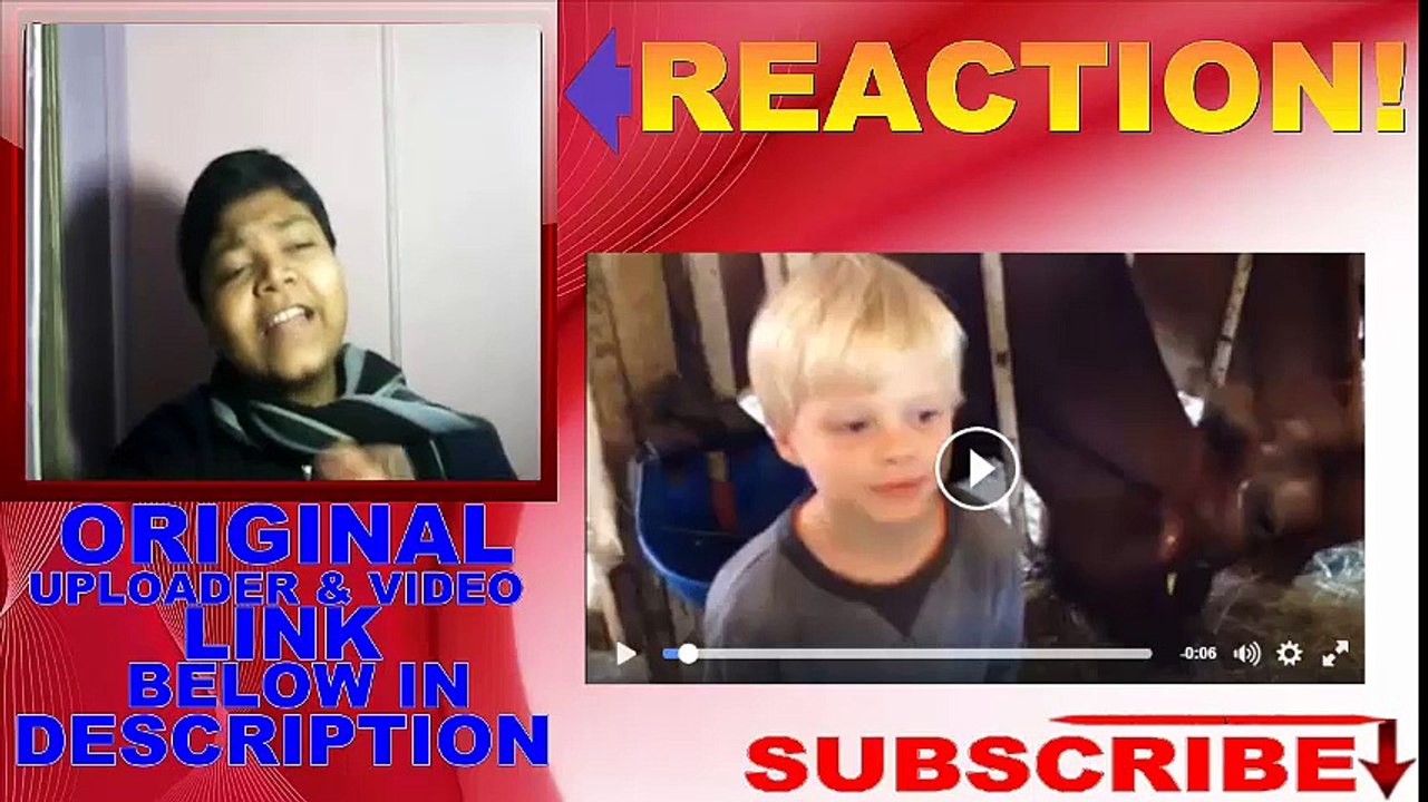 Cow Do Not want selfie With Kid REACTION!