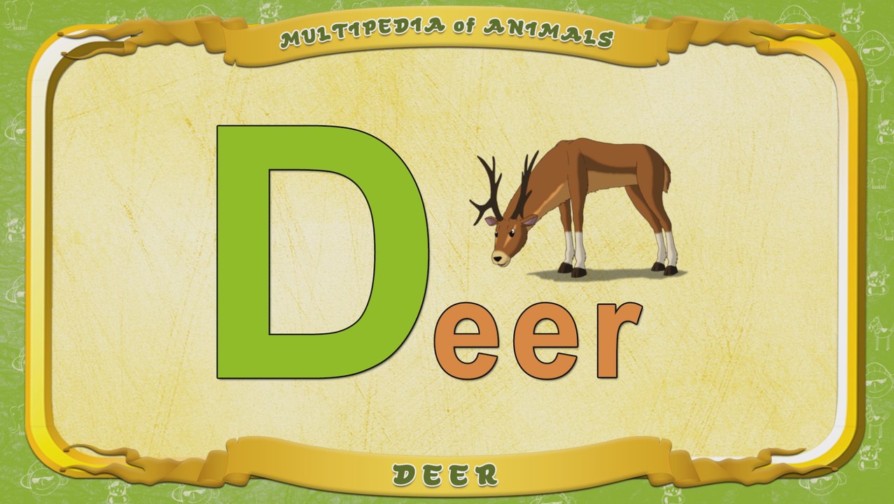 Multipedia of Animals. Letter D - Deer