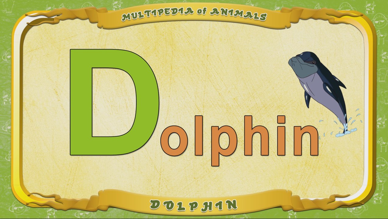 Multipedia of Animals. Letter D - Dolphin