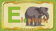Multipedia of Animals. Letter E - Elephant