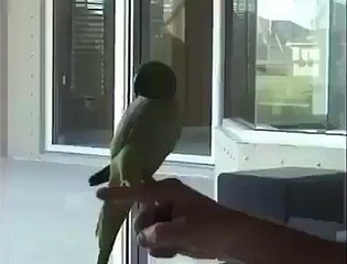 i cannot beleive what happing in this video