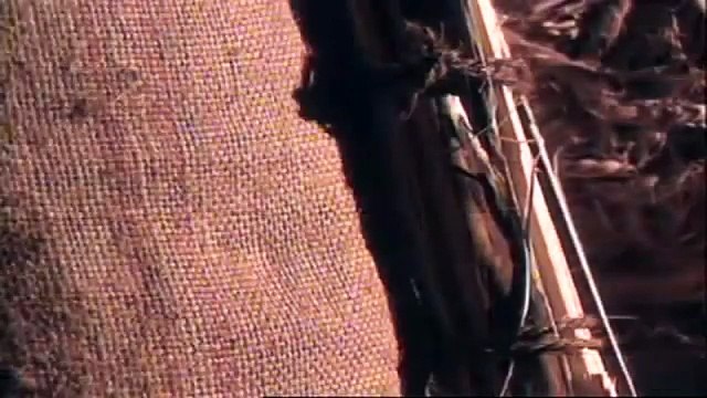 Documentary Hd 2016 : Ancient Warfare - Shinobi Ninjas and Kung Fu Shaolin Monks