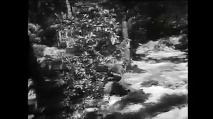 카지노예약♬KOP77,COM♤바카라그림◇아이비씨벳 주소