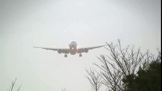 Storm!! Korean Air Boeing 777-300 Crosswind Landing at Narita  Crosswind Landing