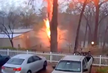 Lightning Bolt Splits Tree In Half
