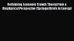 PDF Download Rethinking Economic Growth Theory From a Biophysical Perspective (SpringerBriefs