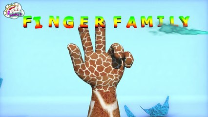 3D Dinosaurs Cartoons Finger Family Rhymes Collection for Children | Animals Cartoons Coll