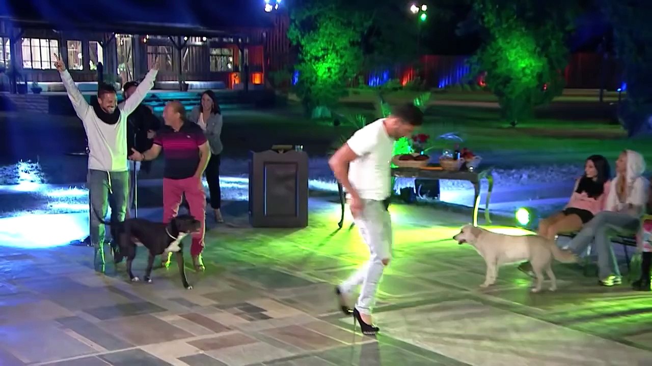 ¿Volverías con tu Ex? Capítulo 5 / Mega