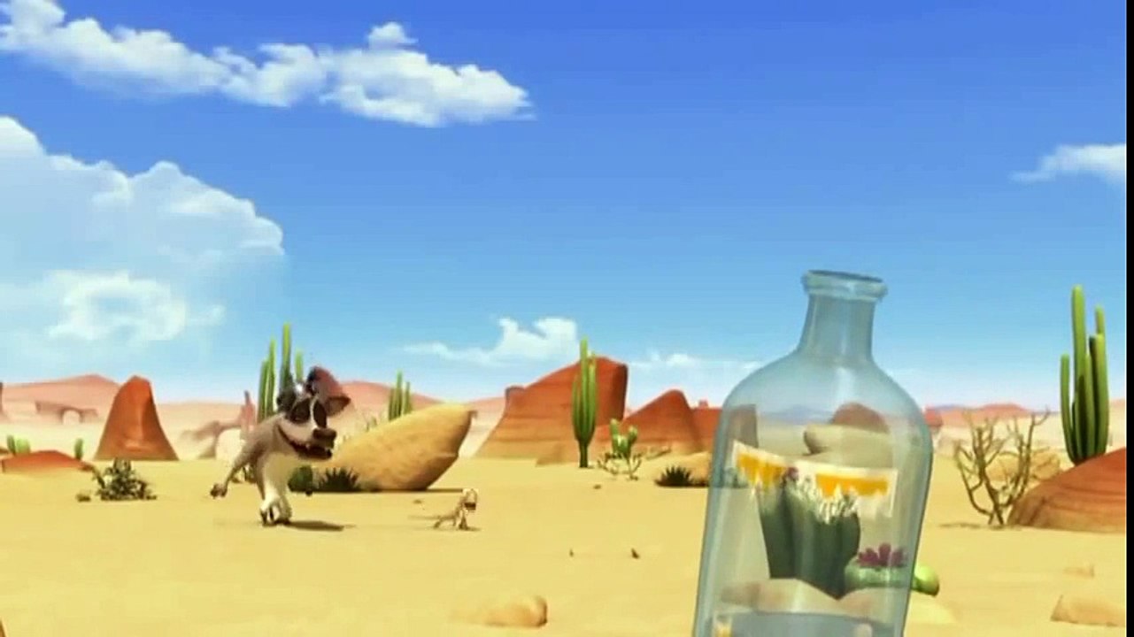 Oscar' Oasis new