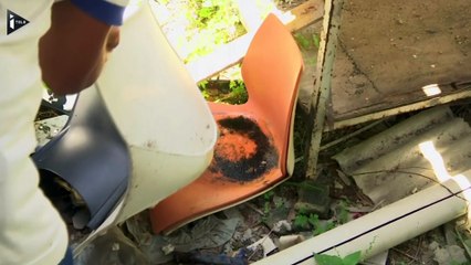 Le Brésil impuissant face au virus Zika