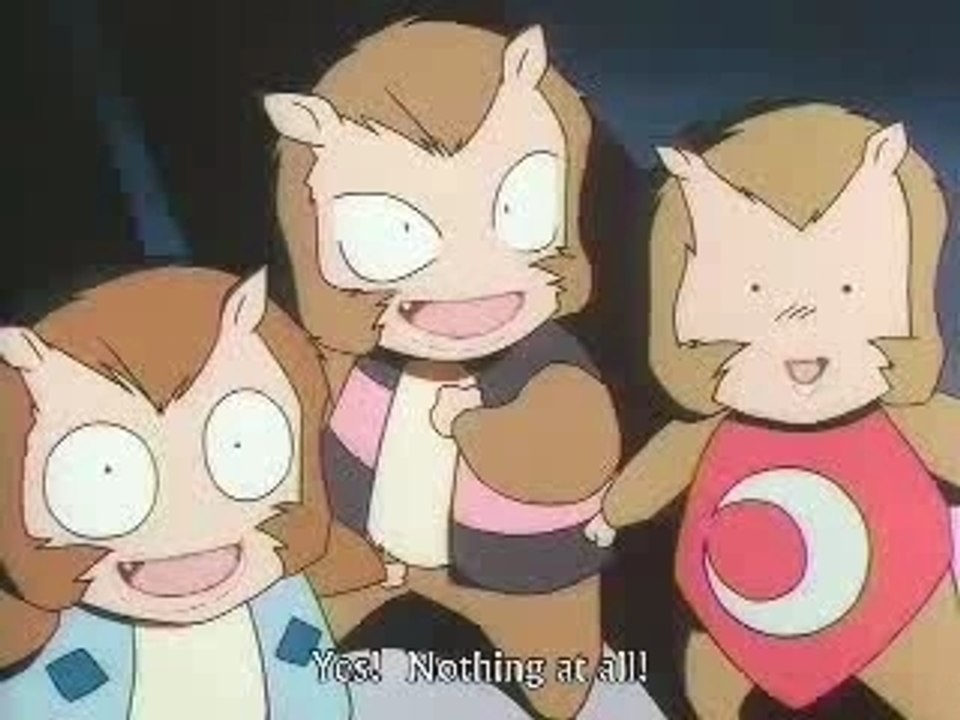 Anime Music Videos  Inuyasha  Don't Touch That!