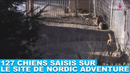 127 chiens saisis sur le site de Nordic Adventure ! Plus d’infos dans la minute chien #114