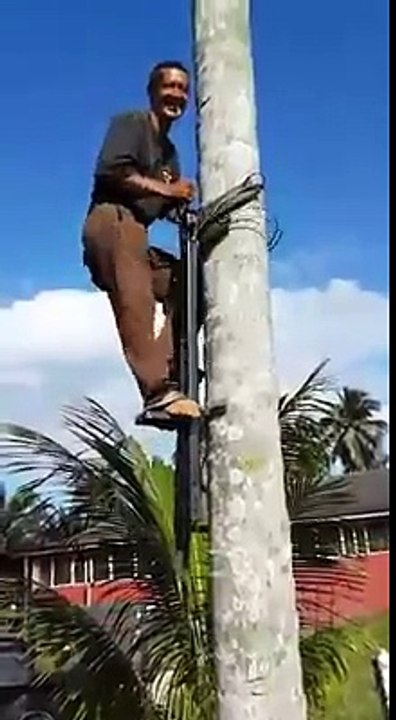 cara manjat pohon kelapa