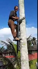 cara manjat pohon kelapa