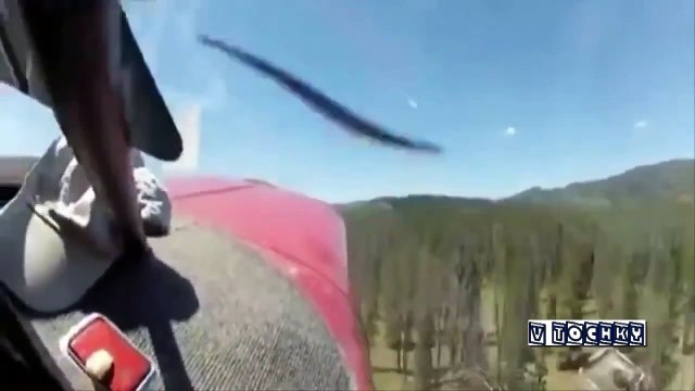 крушения металлических птиц