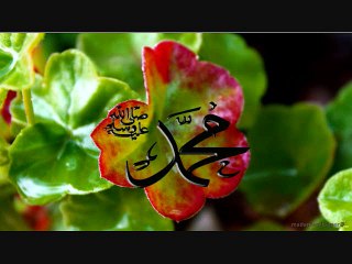 sohnay noon arzaan suna k ro pia by Mohammad Ameen Qadri Hafizabadi