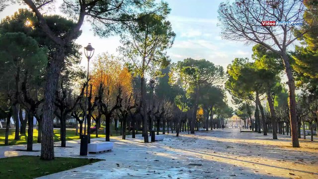 La poesia di questo giovane andriese riempie i cuori della nostra città