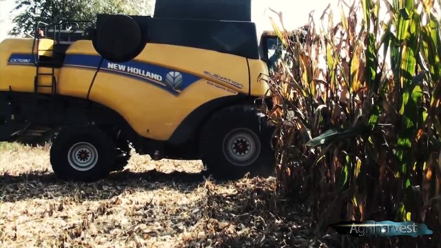 Corn harvest 2014 with New Holland CX 7090 Elevation GoPro [FULL HD]