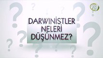 Darwinistler neleri düşünmez? -1-