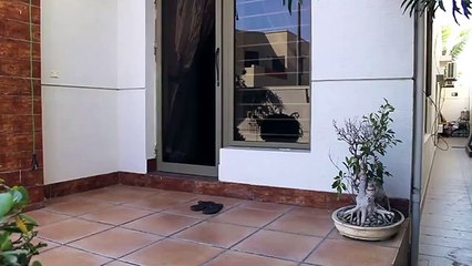 Funny Clip When 'Bae' is in an emergency. -Npmake