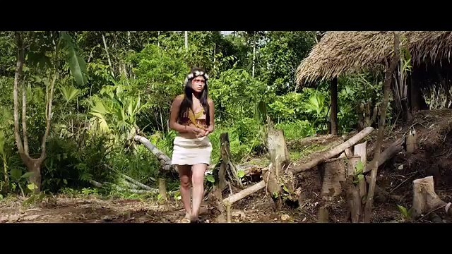 Hardwell & Dannic feat. Haris - Survivors (Official Music Video)