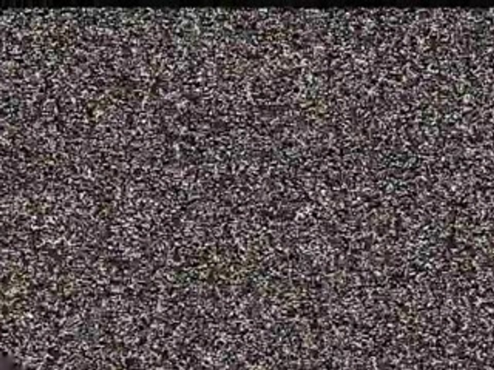 Einmarsch in 4 wänden